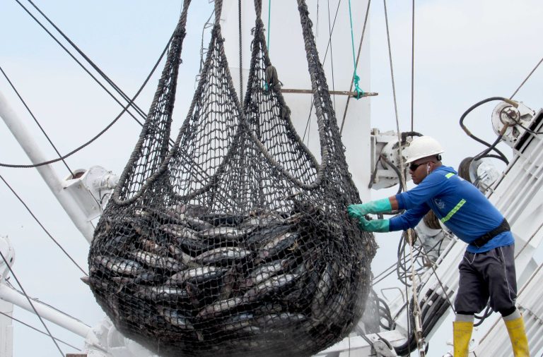 Ecuador obtiene certificación de pesca sostenible en conservación del atún  – Ministerio de Producción Comercio Exterior Inversiones y Pesca
