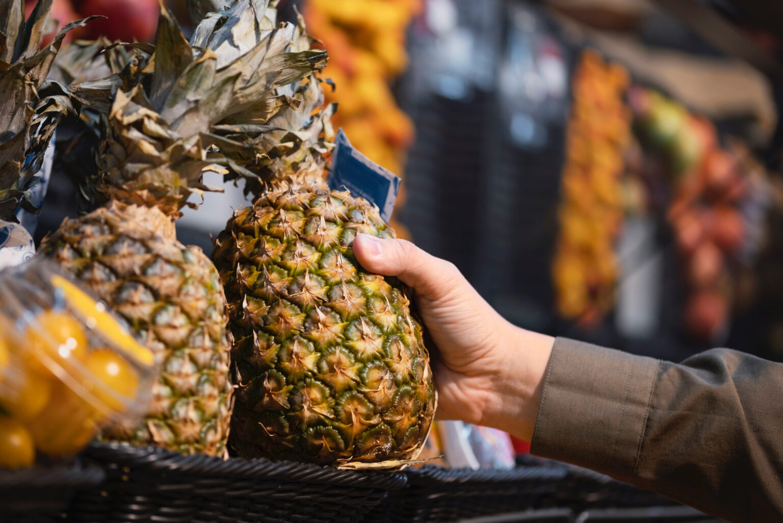 Ecuador logra habilitación fitosanitaria para exportar piña hacia el ...