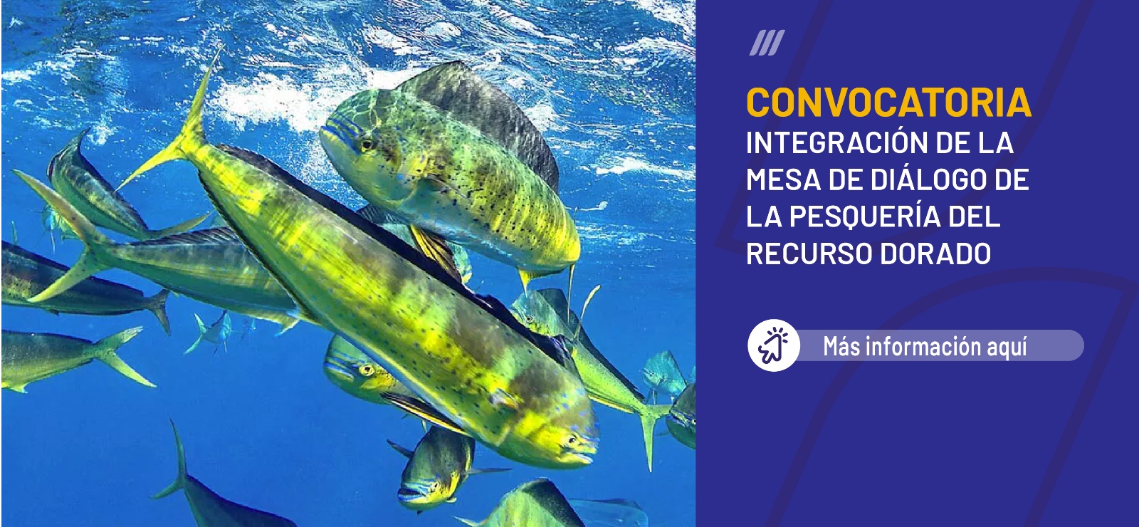 CONVOCATORIA NACIONAL  Integración de la Mesa de Diálogo de la Pesquería del Recurso Dorado